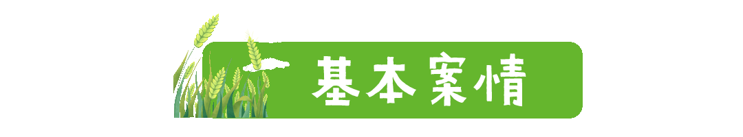 反光金带子标题动态分割线分隔符 (2).gif
